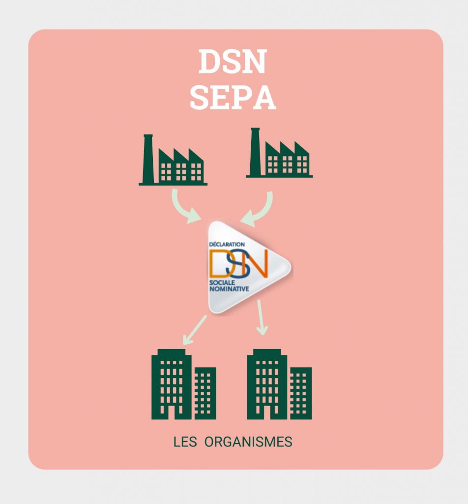 DSN SEPA prélèvement télépaiement