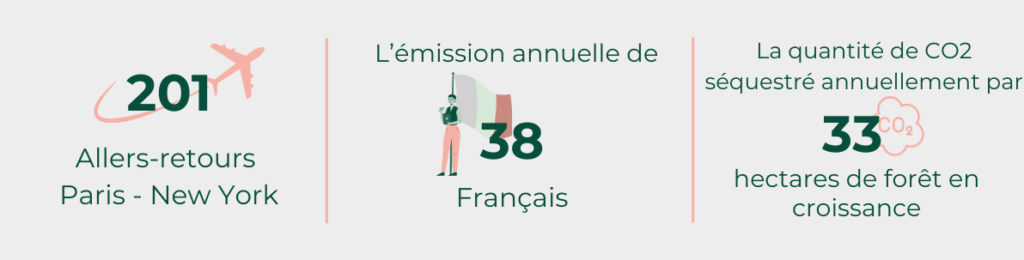 201 allers retours Paris - New York ; l'émission annuelle de 38 français ; la quantité de CO2 annuellement séquestré par 33 hectares de forêt en croissance.